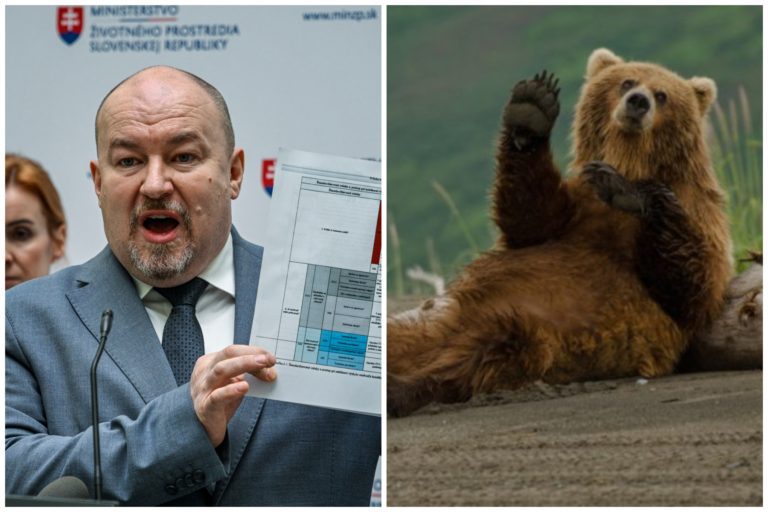 Medvede na Slovensku budú opäť sčítavať. Použijeme relevantné vedecké metódy, nie šarlatánčiny, sľubuje Huliak