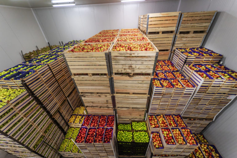 Lotyši nechcú agroprodukty z Ruska a Bieloruska. Na zozname sú aj bobuľoviny, ovocie a zelenina