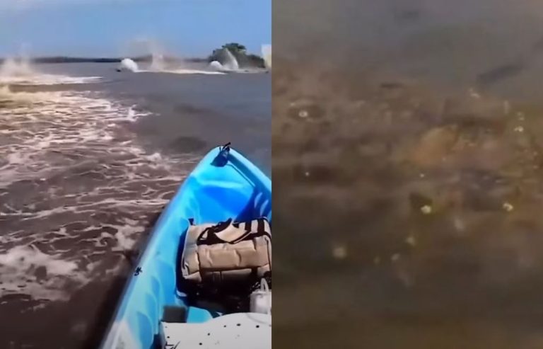 Záhadné bytosti obklopili loď kajakára plaviaceho sa v Amazónii