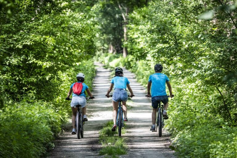 Cyklotúlačky po Žitnom ostrove zavedú výletníkov aj k vrakom lodí uprostred lužného lesa