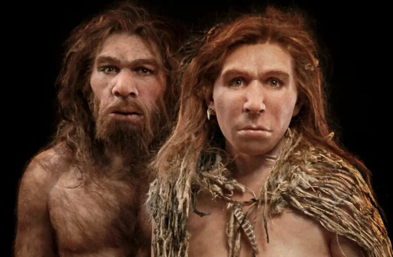 Zlé rodičovstvo môže spôsobiť, že neandertálci vyhynú