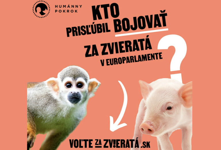 Organizácie vyzvali kandidátov do eurovolieb, aby prijali záväzok pre lepšiu ochranu zvierat. Zatiaľ sa pripojilo 46 z nich