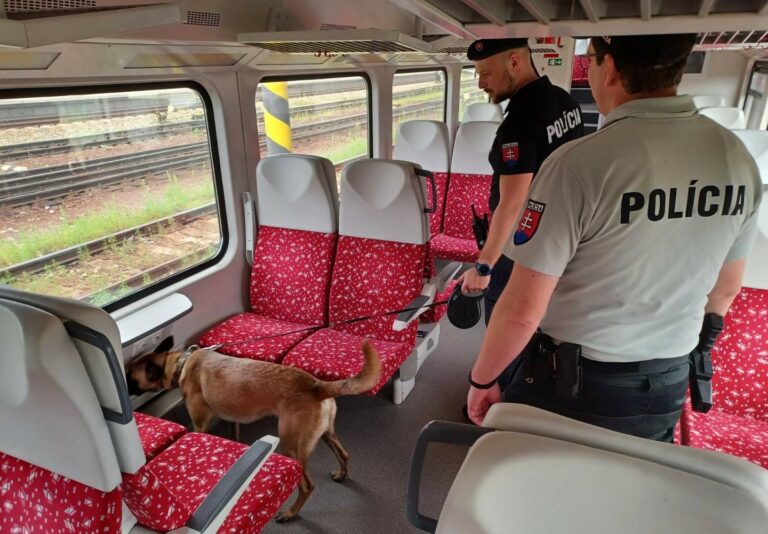 Policajti rozbehli dvojdňovú akciu „Aktívny štít“, jej cieľom je zlepšiť bezpečnosť vo vlakoch a na staniciach (foto)