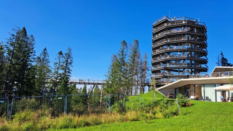 Výstavba novej lanovky v Bachledovej doline je v plnom prúde, dĺžka trasy bude 1 100 metrov