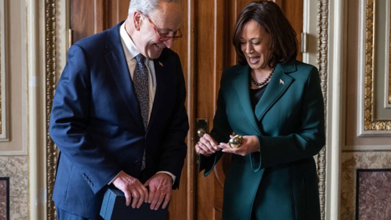 Schumer hovorí, že návrh zákona o kryptomenách môže prejsť Senátom tento rok; Dems sa pripájajú k hovoru ‘Crypto4Harris’