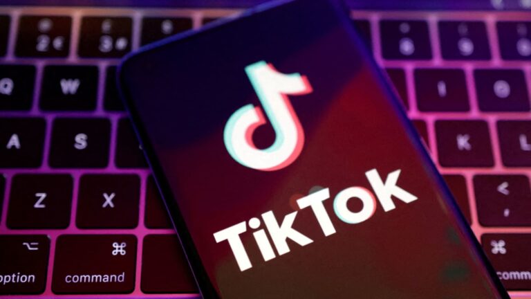 „Fungulanti“ TikTok predpovedali AI rally, môžete im veriť?