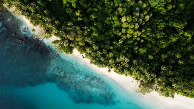 Pinang Island je súkromný ostrov, ktorý stojí 1000 dolárov za noc