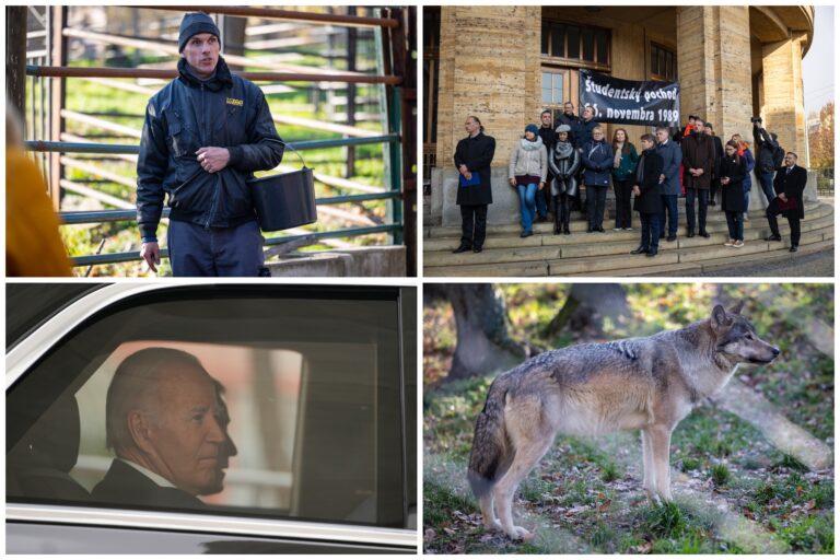 Top foto dňa (16. november 2024): Spomienka na protestný pochod študentov, nové zvieratá v bratislavskej ZOO a Biden na klimatickom samite