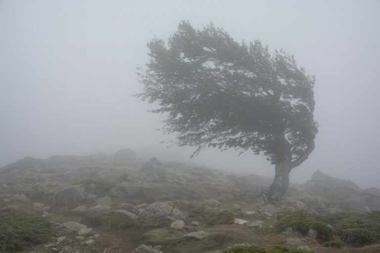 Meteorológovia pre niektoré okresy vydali žlté a oranžové výstrahy, na horách hrozí aj mohutná víchrica