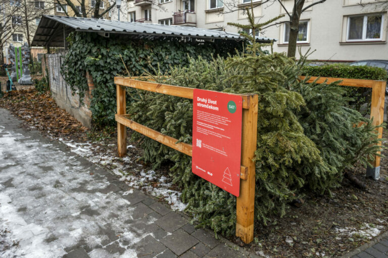 Bratislava od utorka začína so zberom vianočných stromčekov, odvážať ich budú až do 14. februára – FOTO