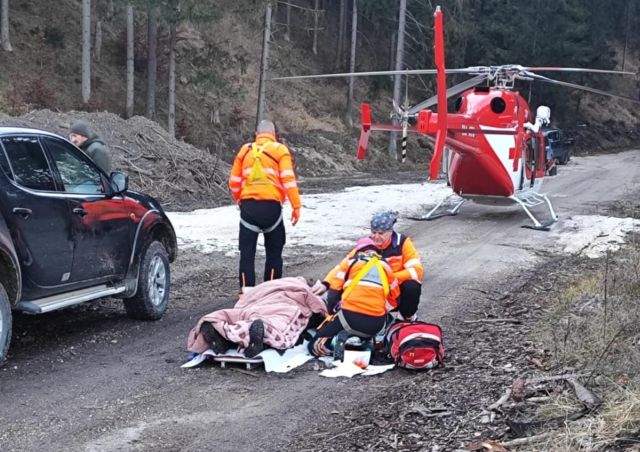 Medveď na severe Slovenska zaútočil na muža, letecky ho previezli do nemocnice